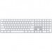 Apple Magic Keyboard with Numeric Keypad (MQ052)