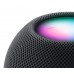 Apple HomePod mini Space Gray (MY5G2)